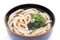 Japanese Kake udon noodles
