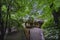 Japanese Kakuuntei teahouse below the maples leaves of Meiji Jingu Inner Garden.