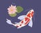 Japanese koi fish swimming in pond with flower. Japan carp in lake water. Top view of Chinese orient marine animal