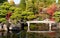 Japanese Kokoen Garden with maple tree