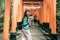 Japanese ladies in kimono walking under torii