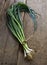 Japanese leek on the wood table.