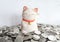 Japanese lucky cat on a pile of silver coins.