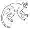 Japanese macaque icon, outline style