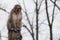 Japanese macaque monkey portrait