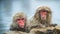 Japanese macaques in water of natural hot springs. Cleaning procedure.