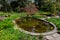 Japanese maple tree  near small pond near Karl Foerster house