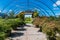 Japanese maple trees in the nursery green house