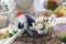 Japanese middle-aged woman enjoys flower seedling planting terrace