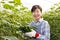Japanese middle aged woman, image of agriculture