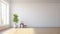 Japanese Minimalism: Empty Room With White Walls And One Plant