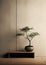 Japanese minimalist decor potted plants.