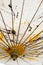 Japanese Mulberry Paper Umbrella Hand Painted with Yellow and Black