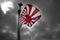 Japanese Navy Rising Sun flag