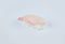 Japanese Nigiri sushi with raw rockfish fillet isolated on gray background.