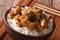 Japanese oyakodon with rice in a bowl close up. horizontal