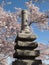 Japanese Pagoda at the Tidal Basin