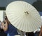 Japanese Parasol