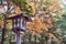 Japanese Park Lantern with Autumn Foliage in Background