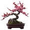 Japanese Plum blossoms bonsai. AI-generated