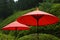Japanese red paper umbrella