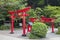 Japanese red wooden torii gates