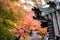 Japanese roof with colorful leaves in the garden, Pavilion in Eikando temple or Eikan-do Zenrinji shrine, famous for tourist