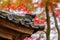 Japanese roof with colorful leaves in the garden, Pavilion in Eikando temple or Eikan-do Zenrinji shrine, famous for tourist