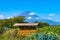 Japanese rural agriculture scene with dry corn and Mount Fuji