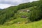 Japanese rural farm on mountain slopes. Agriculture rural scene