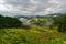 Japanese rural landscape with rice terraces in mountain forest