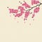 Japanese Sakura. Lush branch dark pink cherry blossom.