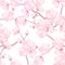 Japanese sakura seamless pattern with stylized flowers. Background made without clipping mask. Easy to use for backdrop