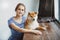 Japanese Shiba Inu dog near a window