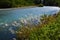 Japanese silver grass and river, in highland Japan.