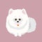 Japanese Spitz. Vector illustration of a dog.