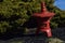 Japanese statue in flower garden