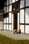 Japanese straw rain hats (amegasa) in temple yard