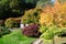 Japanese style garden in England with Acer trees