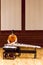 Japanese Tanabata Concert With Koto Instrument