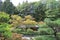 A Japanese tea house nestled in a Japanese Garden in Seattle, Washington