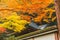 Japanese Temple roof in Autumn colorful forest
