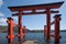 Japanese Torii Gate and Lake ashi at Hakone