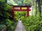 Japanese Torii gate and the stone pathway in Zen garden