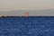 Japanese Torii Gate in the Water