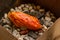 Japanese tradition bake sweet potato with rock