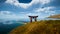 Japanese traditional gate Torii, symbol of Shintoism .Natural landscape 3D render