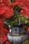 Japanese traditional stone lantern covered with moss
