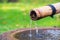 Japanese Tsukubai with waterdrops in the garden