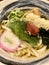 Japanese Udon Noodle